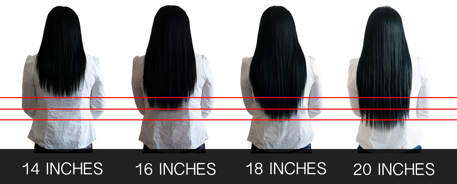 hair length chart inches